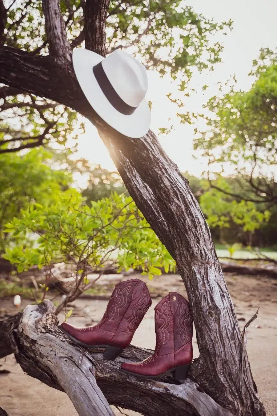 White hat with a black band hangs on a tree branch above a pair of burgundy cowboy boots in a sunlit park.